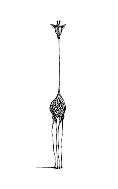 a drawing of a giraffe standing tall with its long neck and legs extended