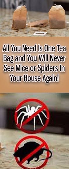 a sign that says, all you need is one tea bag and you will never see mice or spiders in your house again