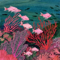 an underwater scene with fish and corals