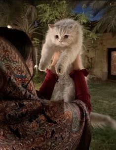 a woman holding a white cat in her arms