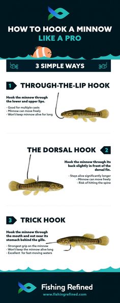 the different types of fishing lures and how to use them for their own catch