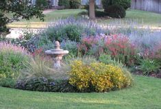 a garden filled with lots of different types of flowers