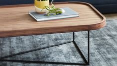 a coffee table with a plant on top and a book sitting on it's side