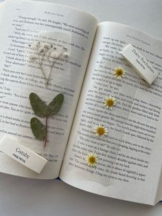 an open book with pressed flowers on it