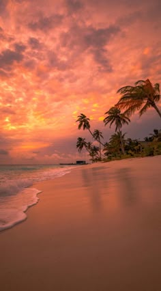 the sun is setting over an ocean with palm trees