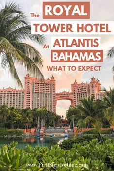 the royal tower hotel at atlantic's palms, with text overlay reading what to expect