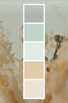 the color palette is neutral and pale for this image, it's almost as soft as the grass