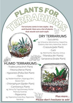 a poster with plants and other things in it that are labeled for terrariums