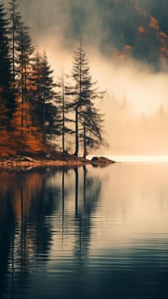 a lake with trees and fog in the background