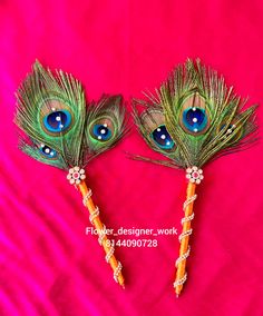 two peacock feathers with blue eyes are on a pink background