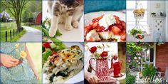 a collage of pictures with flowers, plants, and cats in it's photos