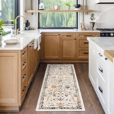 a kitchen with wooden cabinets and an area rug in front of the counter top that has plants on it