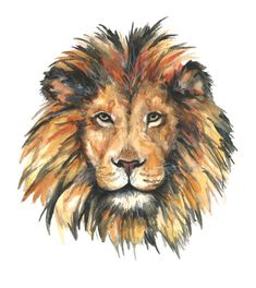 a watercolor drawing of a lion's head