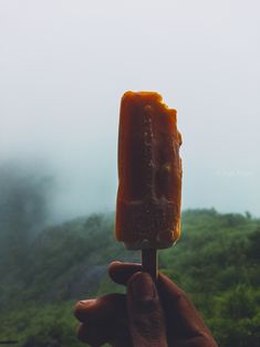 a hand holding an orange piece of food in front of a foggy mountain range