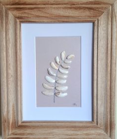 a framed photograph of a white plant in a wooden frame