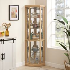 a corner display case with bottles and vases on it next to a potted plant