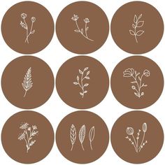 six different types of flowers drawn in white ink on brown circles with the words,