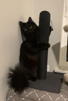 a black cat sitting on top of a scratching post