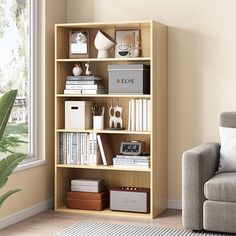 a living room with a couch and a book shelf