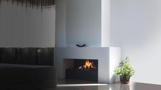 a living room with a fire place next to a couch and potted plant on the floor