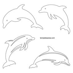 four dolphins that are jumping in the air