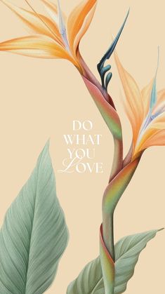 an image of a bird of paradise with the words do what you love