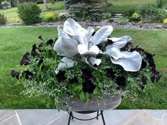 a potted plant with white and black flowers in it sitting on a table outside