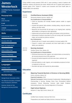 a blue and white resume for nurses with no experience on the cover letter, but it is