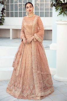 Pakistani Saree, Peach Saree, Pakistani Wedding Dress, Elegant Embroidery, Net Saree, Elegant Saree, Salwar Kameez Designs, Maxi Styles, Luxury Collection