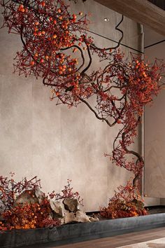 an orange tree in front of a wall with rocks and plants growing out of it