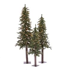 three christmas trees with lights on them are standing in front of the white background,