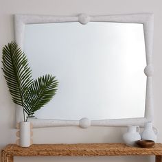 there is a mirror with a plant on it