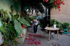 a woman standing in the middle of a room filled with potted plants and flowers