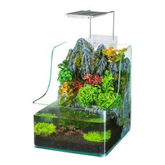 an aquarium filled with plants and water on top of a white background, it's clear