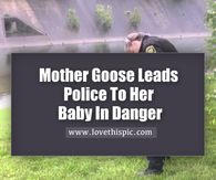 a police officer standing in front of a sign that says, mother goose leads police to her baby in danger