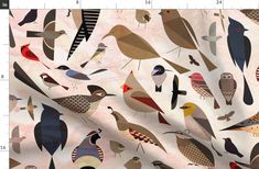 many birds are standing together on a white background with red, yellow and blue colors