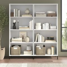 a white book shelf filled with books next to a potted plant on top of a hard wood floor