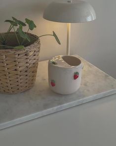 a plant in a basket next to a lamp on a counter top with a potted plant