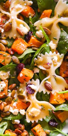 Fall Salad with butternut squash, pumpkin seeds, cranberries, spinach, goat cheese, and pasta - close-up photo. Autumn Salad With Maple Dressing, Lighter Thanksgiving Side Dishes, Pumpkins And Squash, Immune Boosting Salad, Fall Salad With Maple Dressing, Fall Salad Maple Dressing, Autumn Orzo Salad, Roasted Butternut Squash Pasta Salad, Fall Salad With Butternut Squash