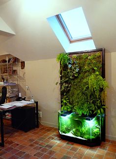 an office with a green plant on the wall and a fish tank in the middle