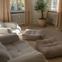 a living room filled with furniture and a potted tree in the window sill