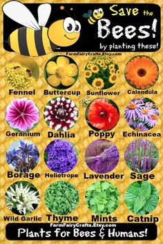 a poster with different types of flowers and bees on it's back cover, says save the bees by planting these