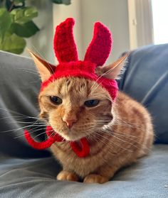 an orange cat wearing a red knitted bunny ears hat on top of a couch