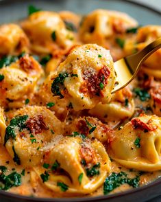 a spoon full of ravioli with spinach and parmesan cheese on top