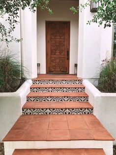 a set of steps leading up to a door with decorative tiles on it and plants in the foreground