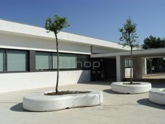 an empty courtyard with trees in the middle and concrete planters on the ground outside