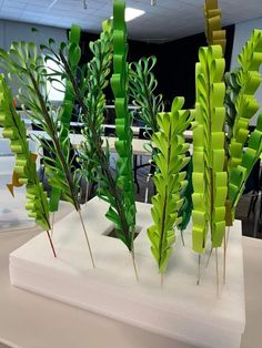 some very pretty green plants on a white table