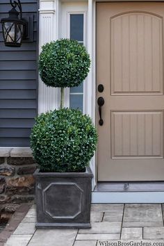 two potted plants on the front steps of a house