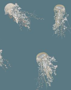 three jellyfish are swimming in the water