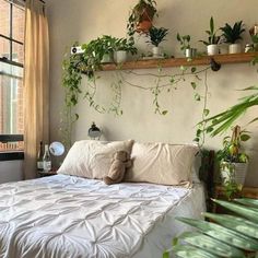 there is a bed with plants on the wall above it and a window in the background